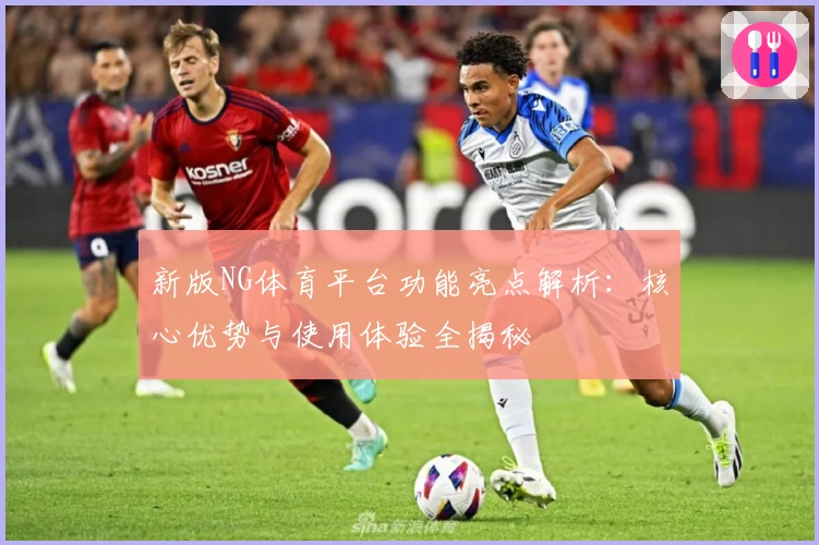 新版NG体育平台功能亮点解析：核心优势与使用体验全揭秘