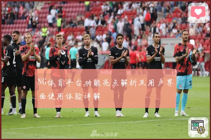 NG体育平台功能亮点解析及用户界面使用体验详解