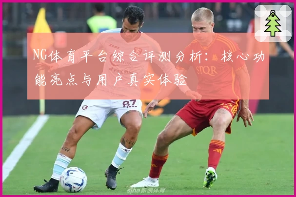 NG体育平台综合评测分析：核心功能亮点与用户真实体验